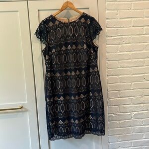 Eliza J Navy Lace Dress
